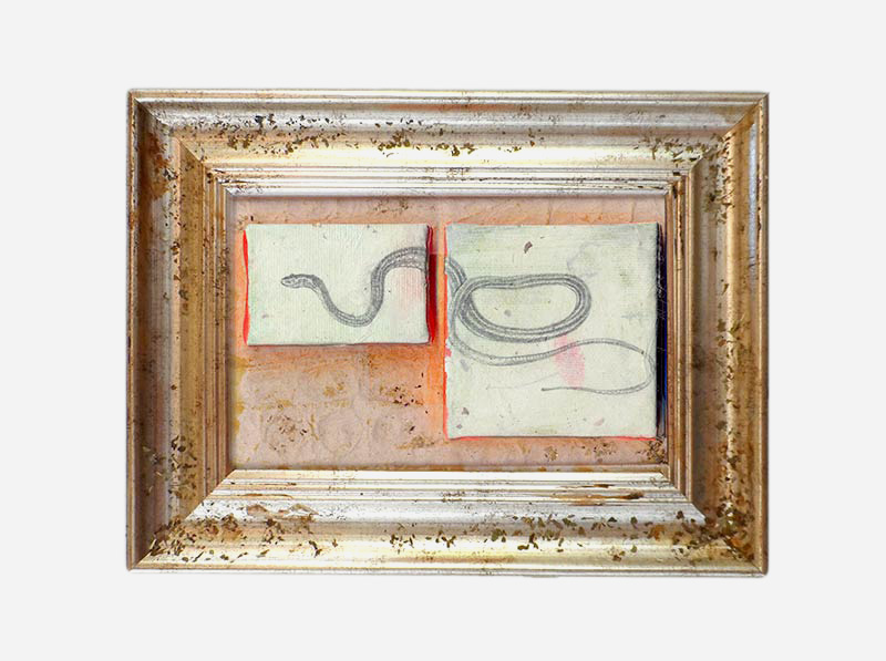 Animales anticuados graciela García