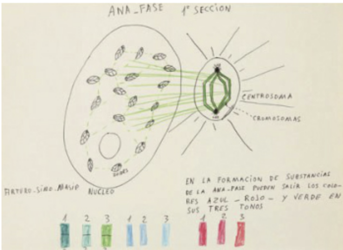 Dibujos psiquiáticos españa