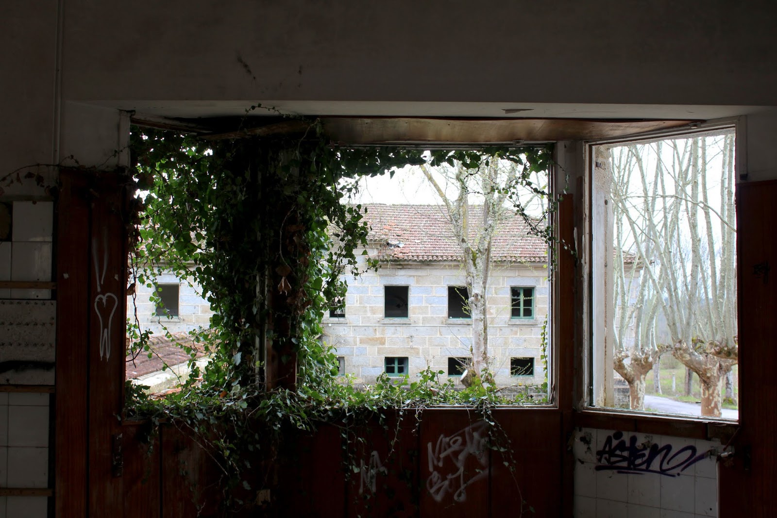 LOS ESPACIOS DE TOEN por ADRIANA LEIRA