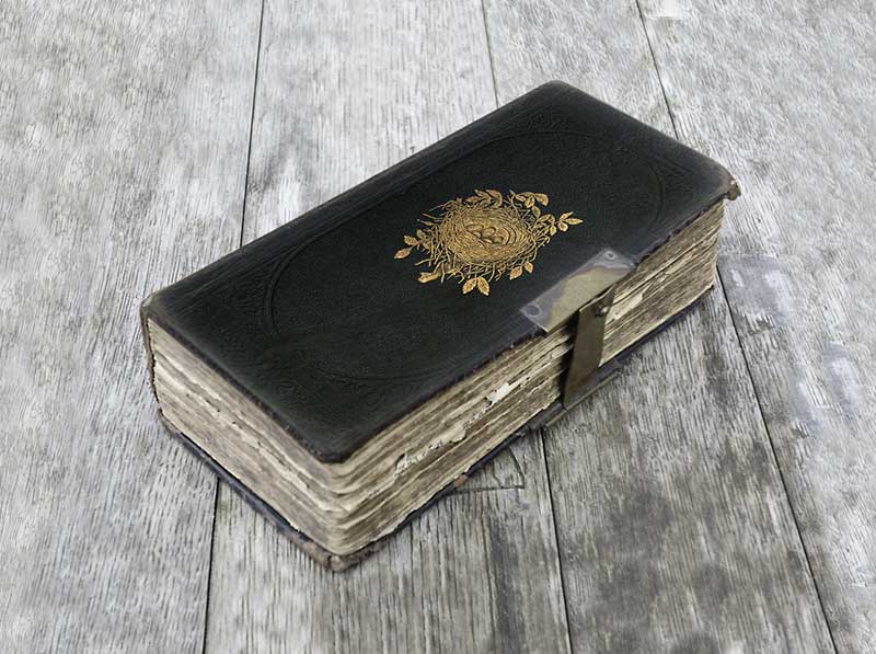 pajaros-invisibles-graciela-garcia-portada2